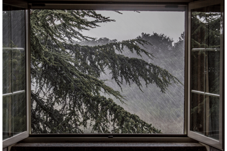 Why Do New Windows Not Have Storm Windows